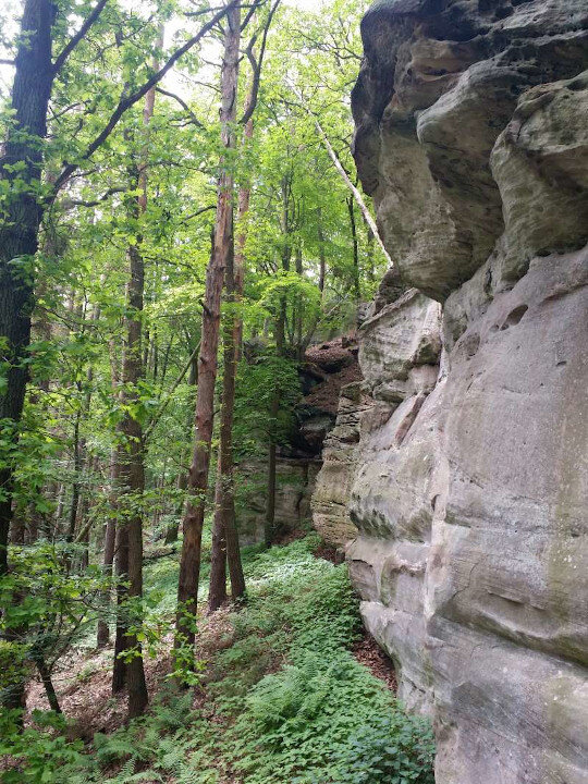 Sandstein im GöWald | © CC BY-NC-ND