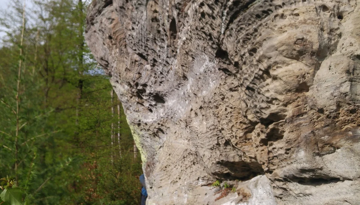 Turm | © CC BY-NC-ND