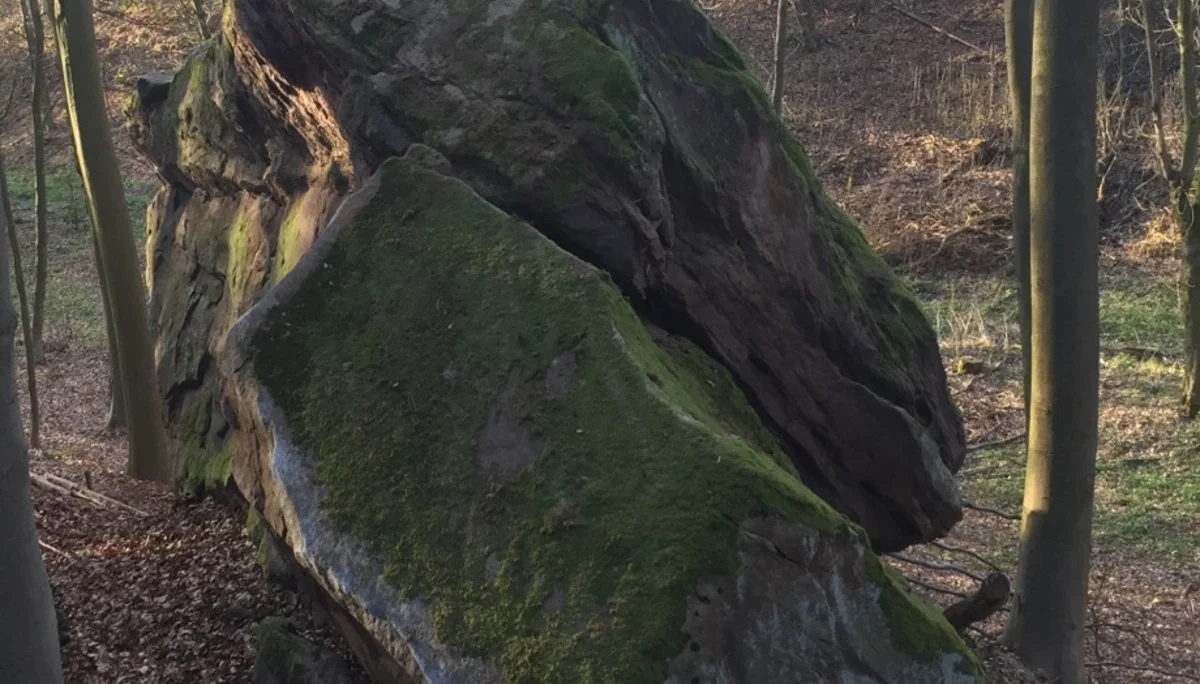 Turm | © CC BY-NC-ND