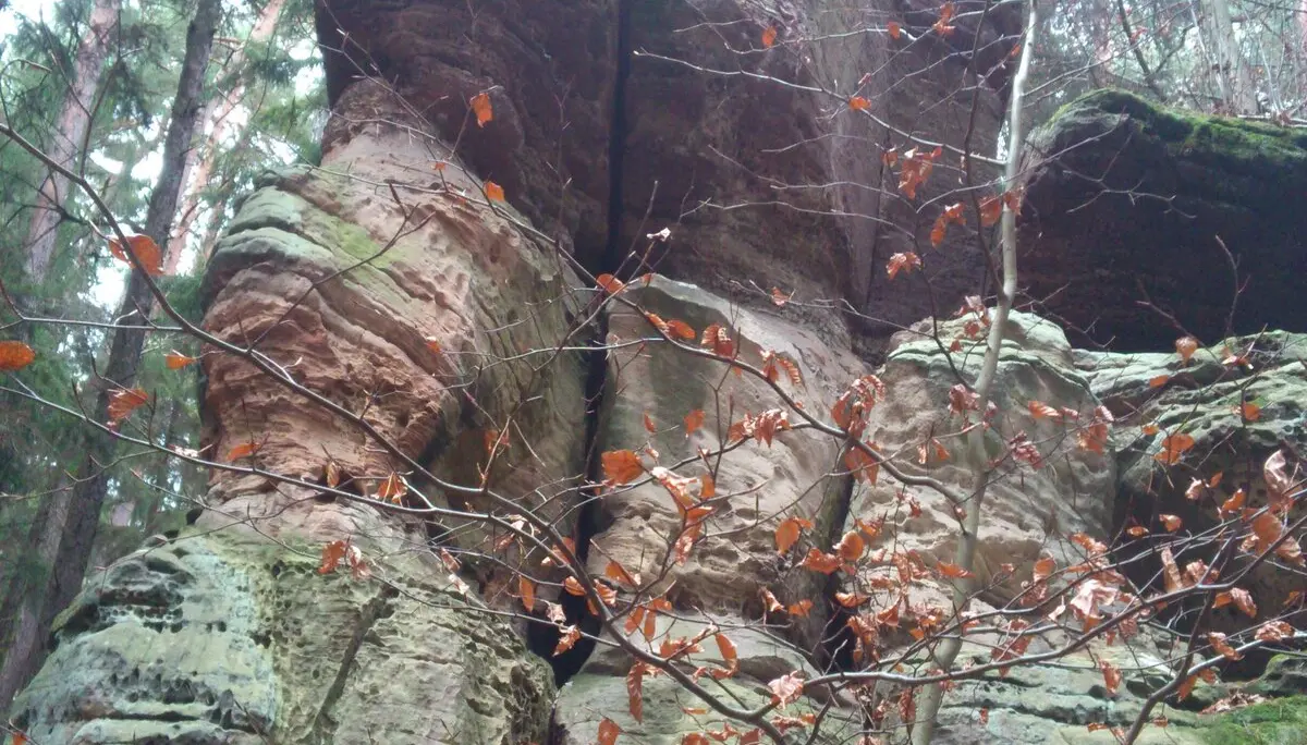 Turm | © CC BY-NC-ND