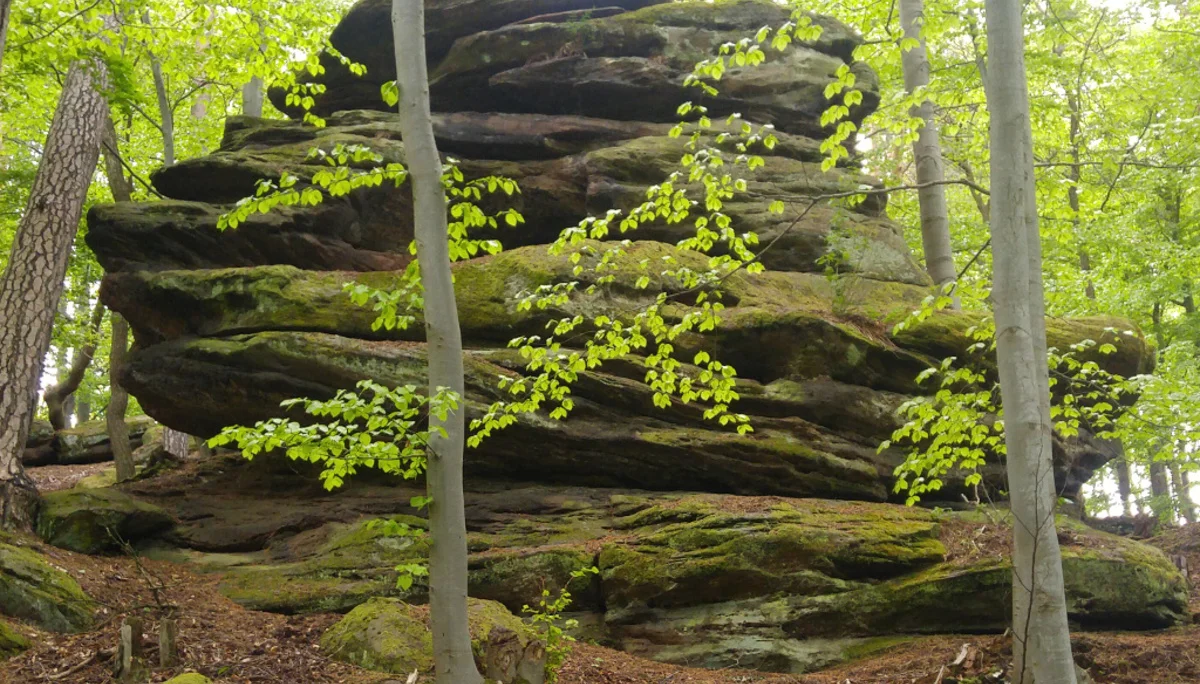 Turm | © CC BY-NC-ND