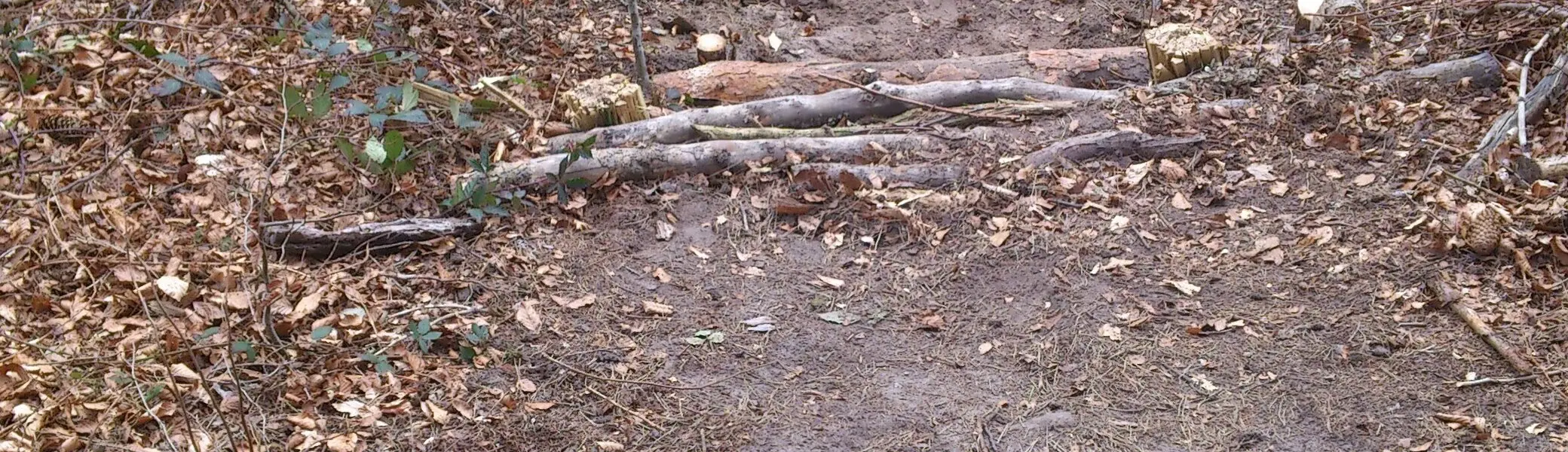 Vermeidung von Erosion | © CC BY-NC-ND