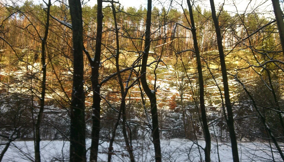 Frederikes Folgen an der Knubbelwand | © CC BY-NC-ND