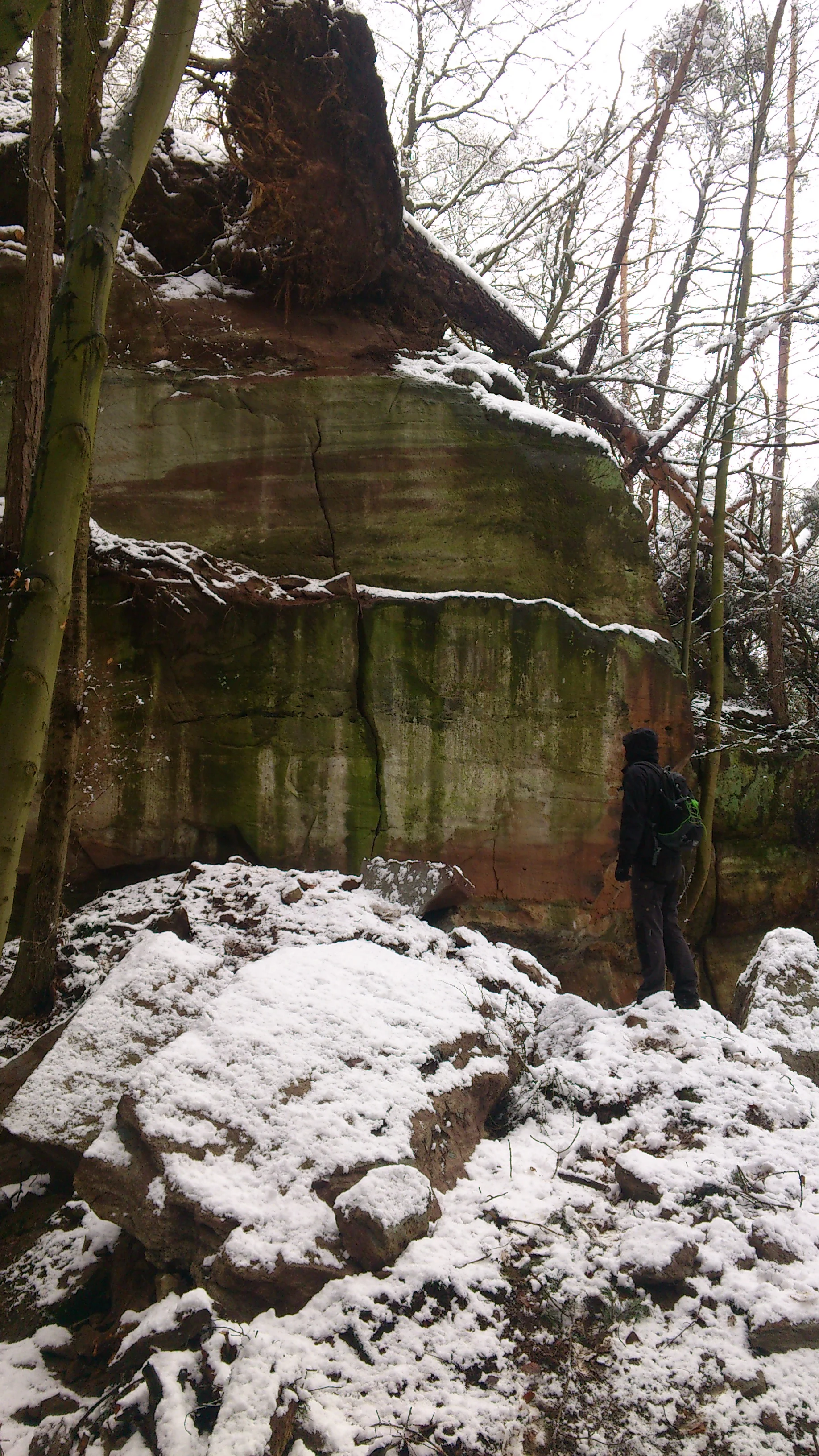 Frederikes Folgen | © CC BY-NC-ND