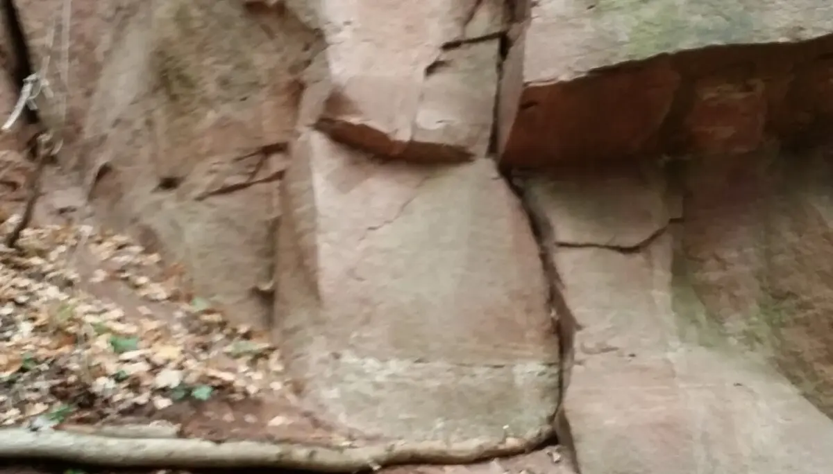 Stufe am Sickenbergbruch | © CC BY-NC-ND