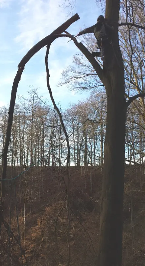 Zwiesel Etfernung | © CC BY-NC-ND