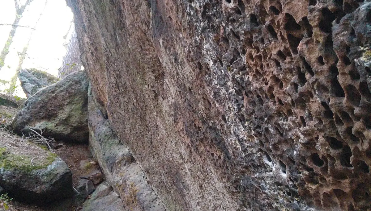 Tropfloch-Felsoberfläche | © DAV Sektion Göttingen