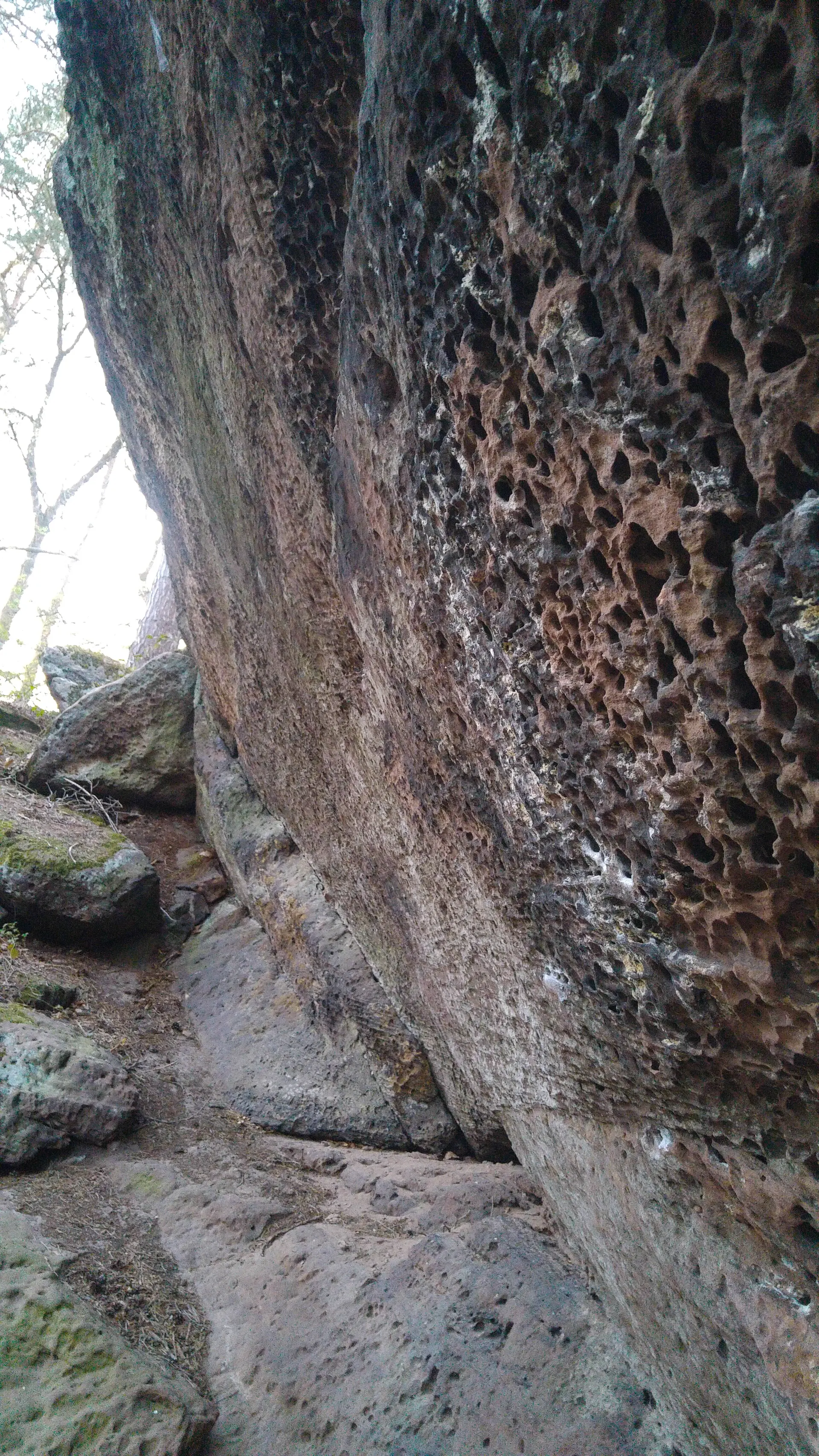 Tropfloch-Felsoberfläche | © DAV Sektion Göttingen