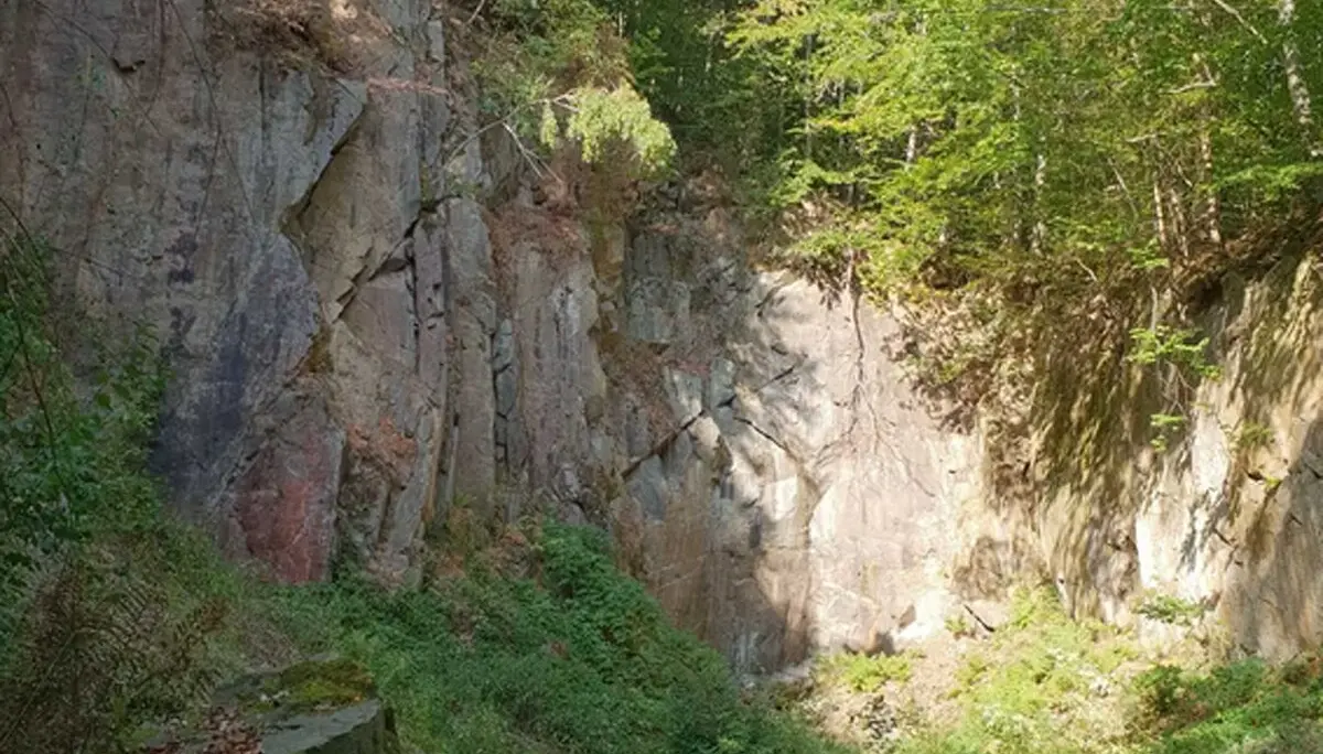 Sösekopf-Steinbrauch | © CC BY-NC-ND