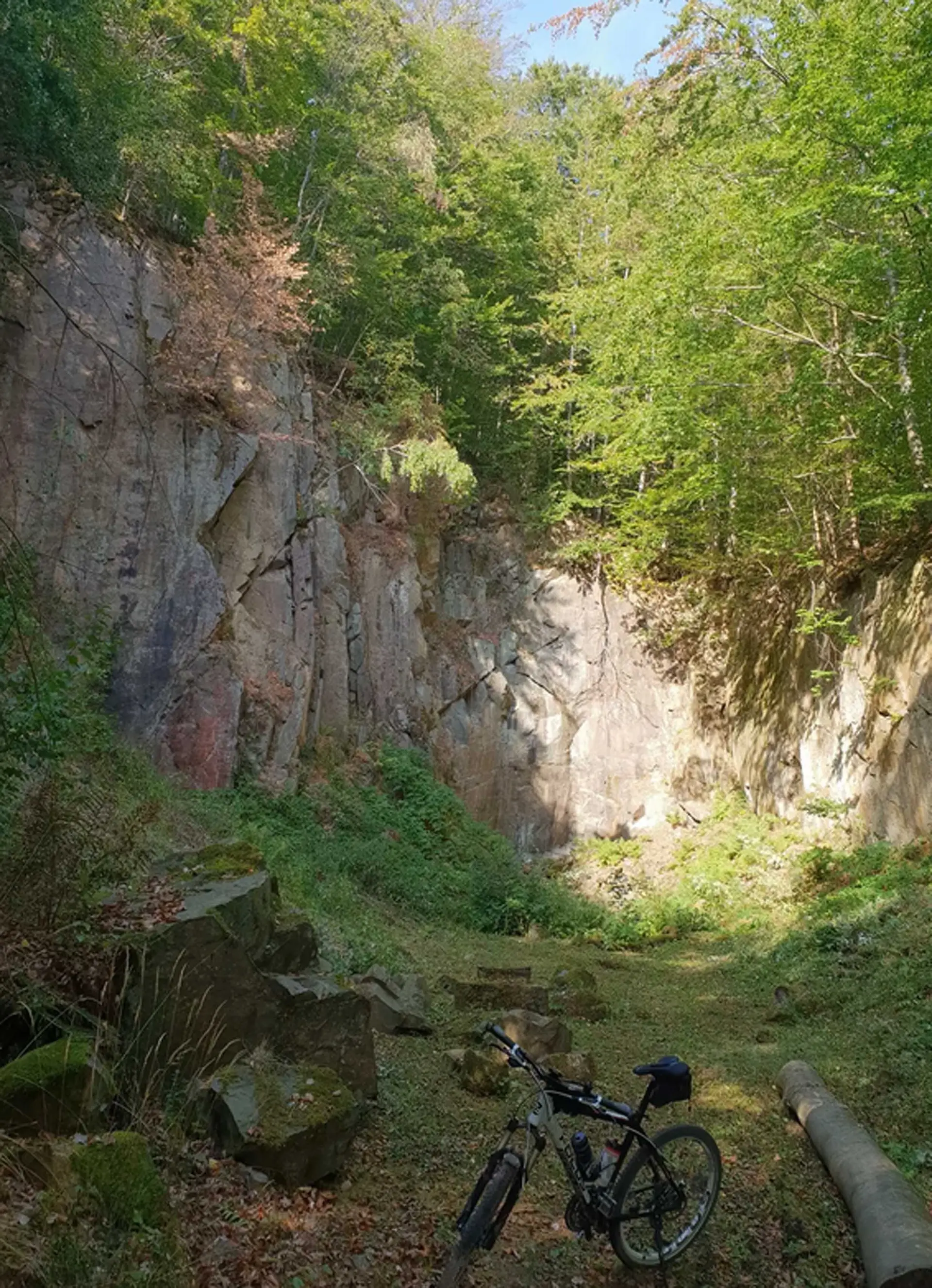 Sösekopf-Steinbrauch | © CC BY-NC-ND