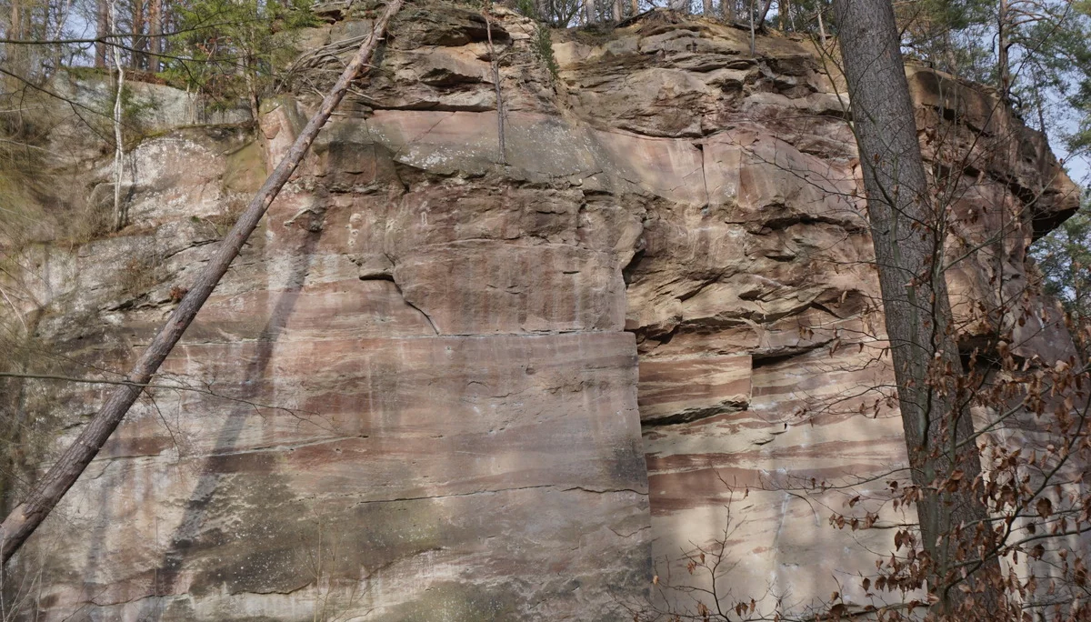 Hauwand | © CC BY-NC-ND