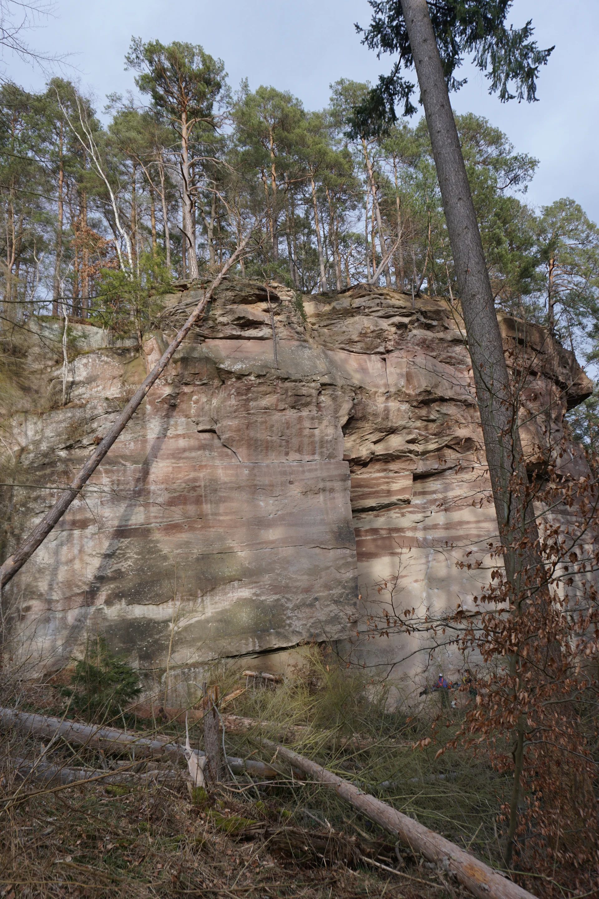 Hauwand | © CC BY-NC-ND