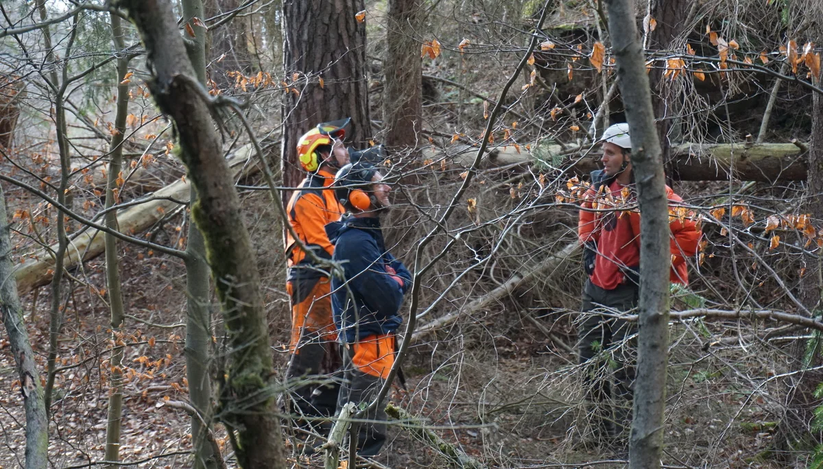 Totholz in der Hauwand | © CC BY-NC-ND