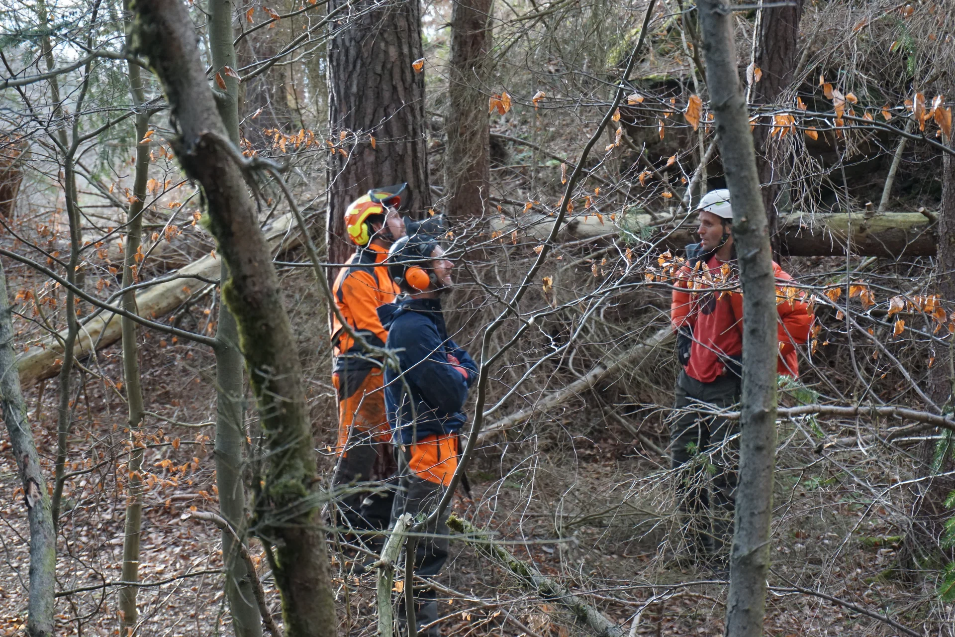 Totholz in der Hauwand | © CC BY-NC-ND