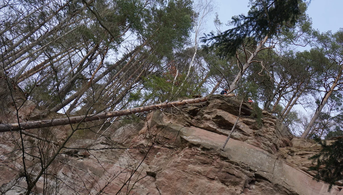 Hauwand | © CC BY-NC-ND