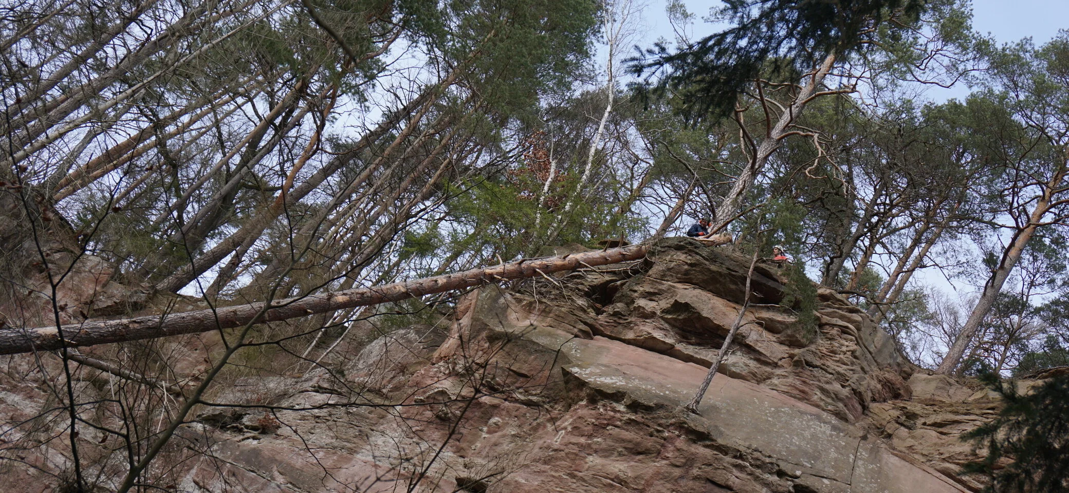 Hauwand | © CC BY-NC-ND