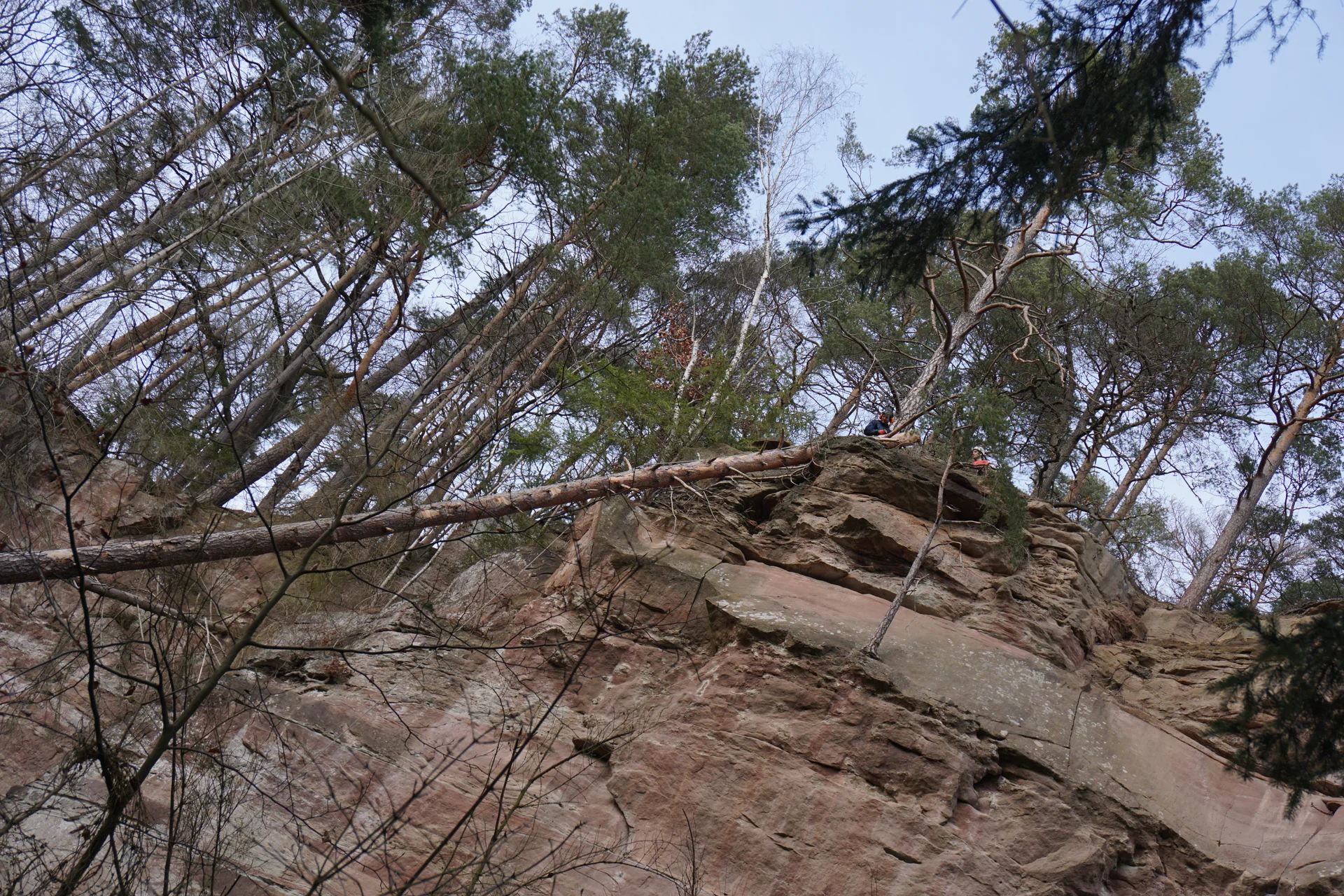 Hauwand | © CC BY-NC-ND