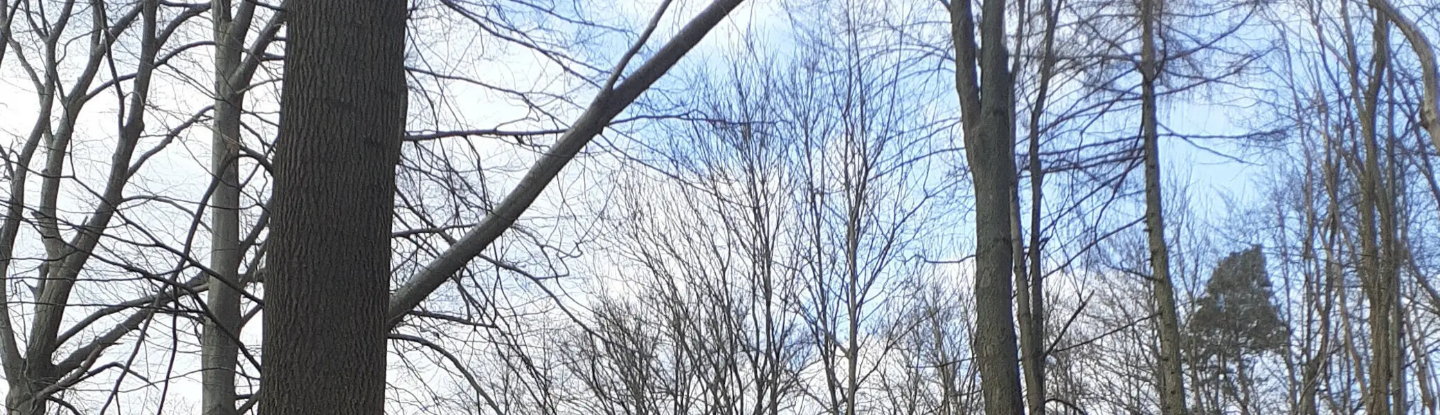 Wegebau AKN Göttingen | © CC BY SA