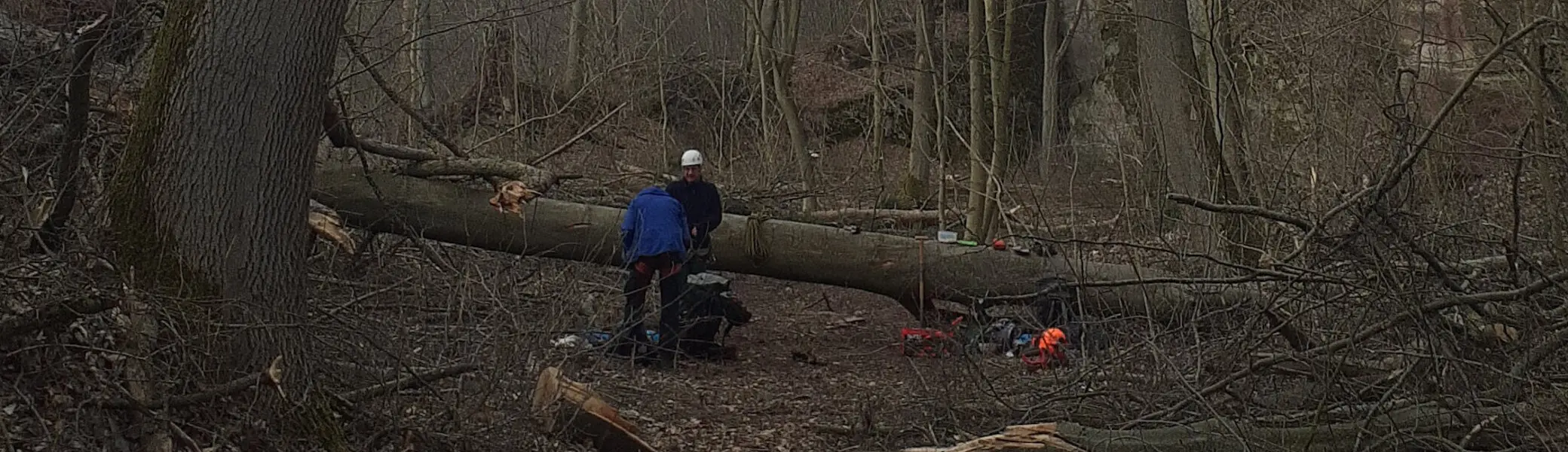 Wegebau AKN Göttingen | © CC BY SA