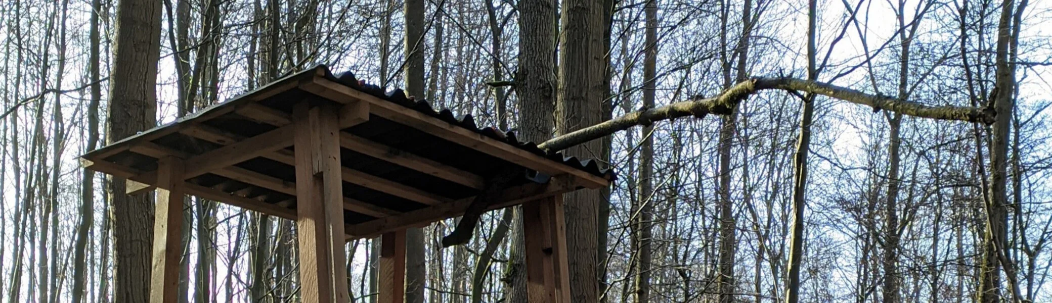 Getroffener Jägersitz | © CC BY SA