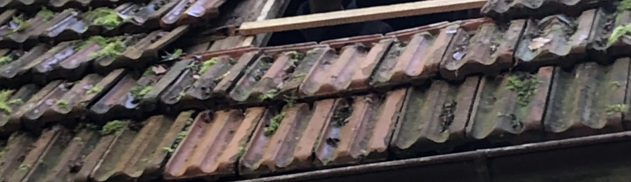 Dachschaden an der Hütte | © DAV Göttingen