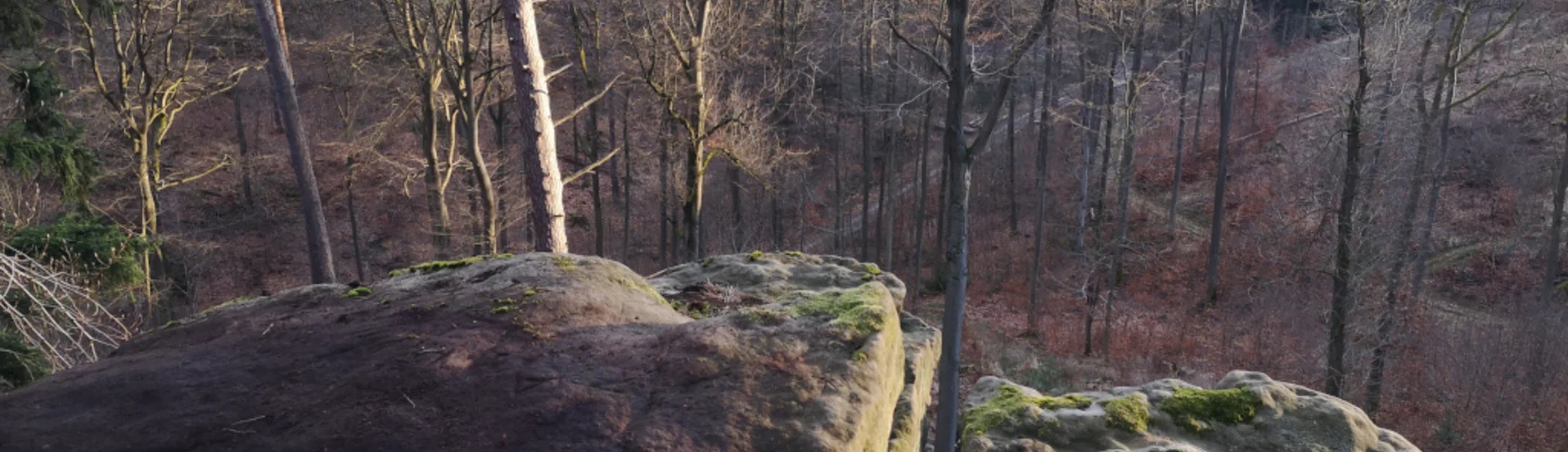 Aussicht vom sonnigen Weihnachtsturm | © DAV Göttingen