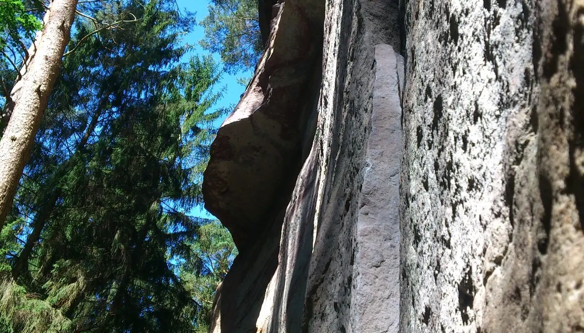 Hauwand | © CC BA SY