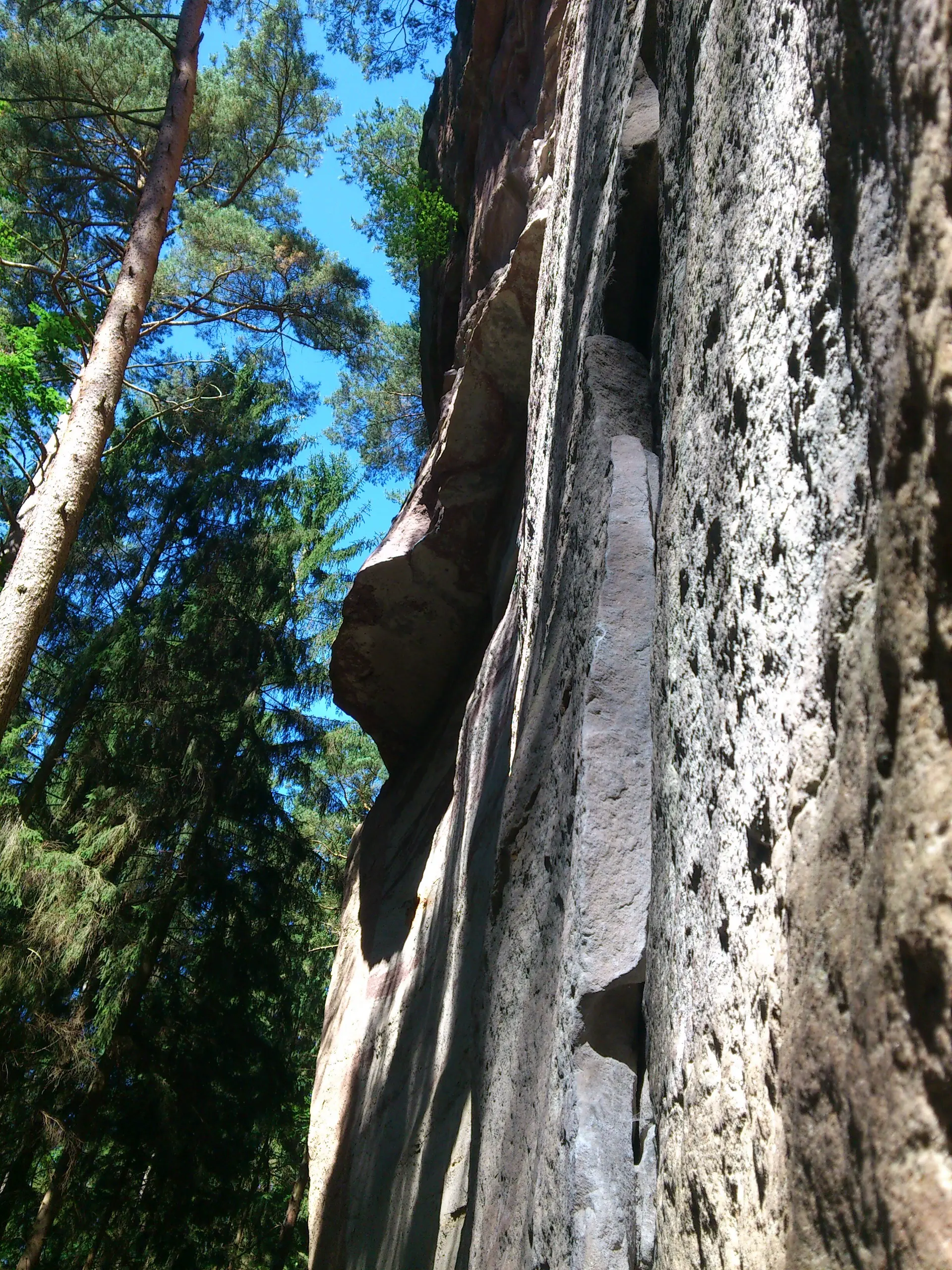 Hauwand | © CC BA SY