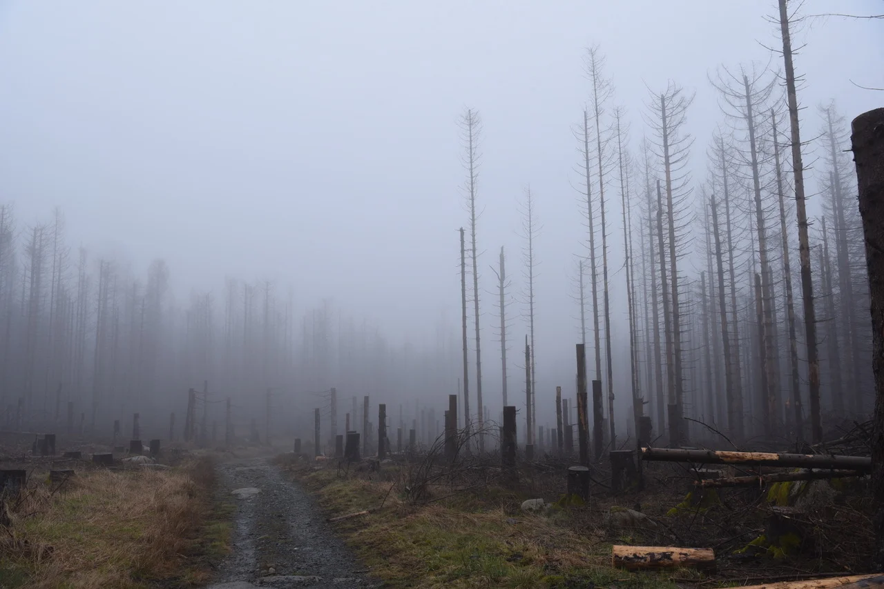 © DAV/Jürgen Hilbig & Ursula Josuttis
