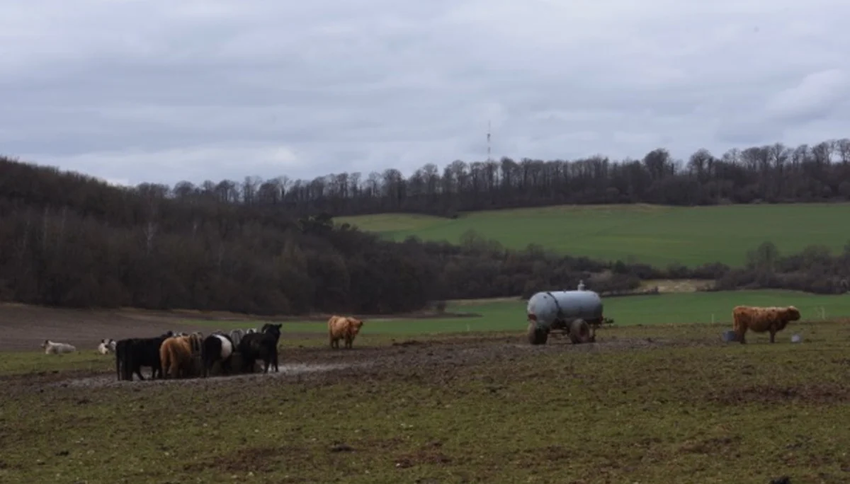 Jürgen Hilbig | © Jürgen Hilbig