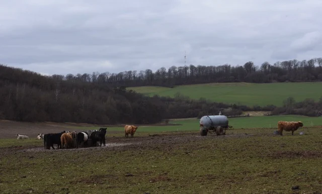 Jürgen Hilbig | © Jürgen Hilbig