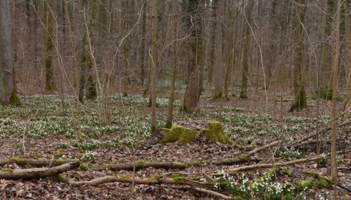 Jürgen Hilbig | © Jürgen Hilbig