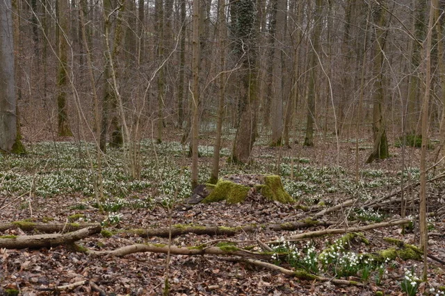 Jürgen Hilbig | © Jürgen Hilbig