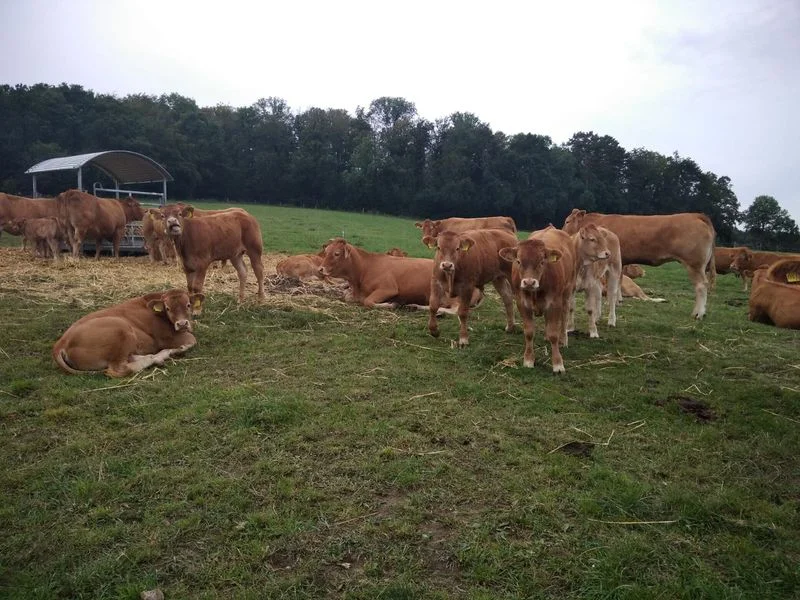 Christiane Mulle | © Christiane Mulle