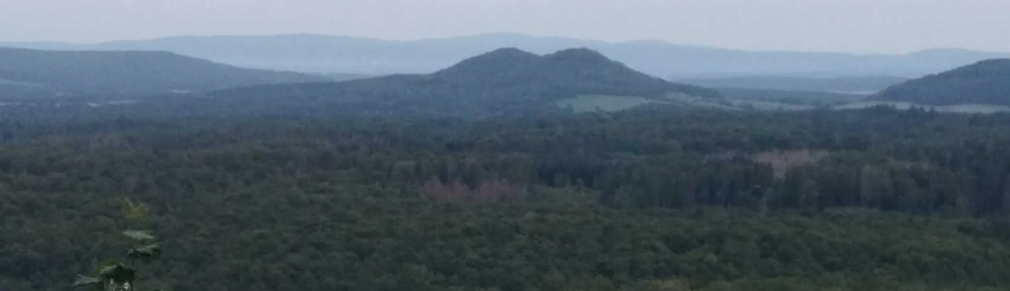 Christiane Mulle | © Christiane Mulle