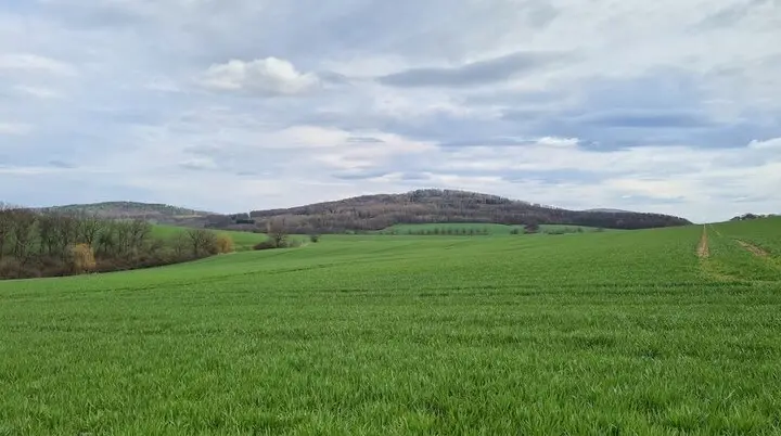 Christiane Mulle | © Christiane Mulle