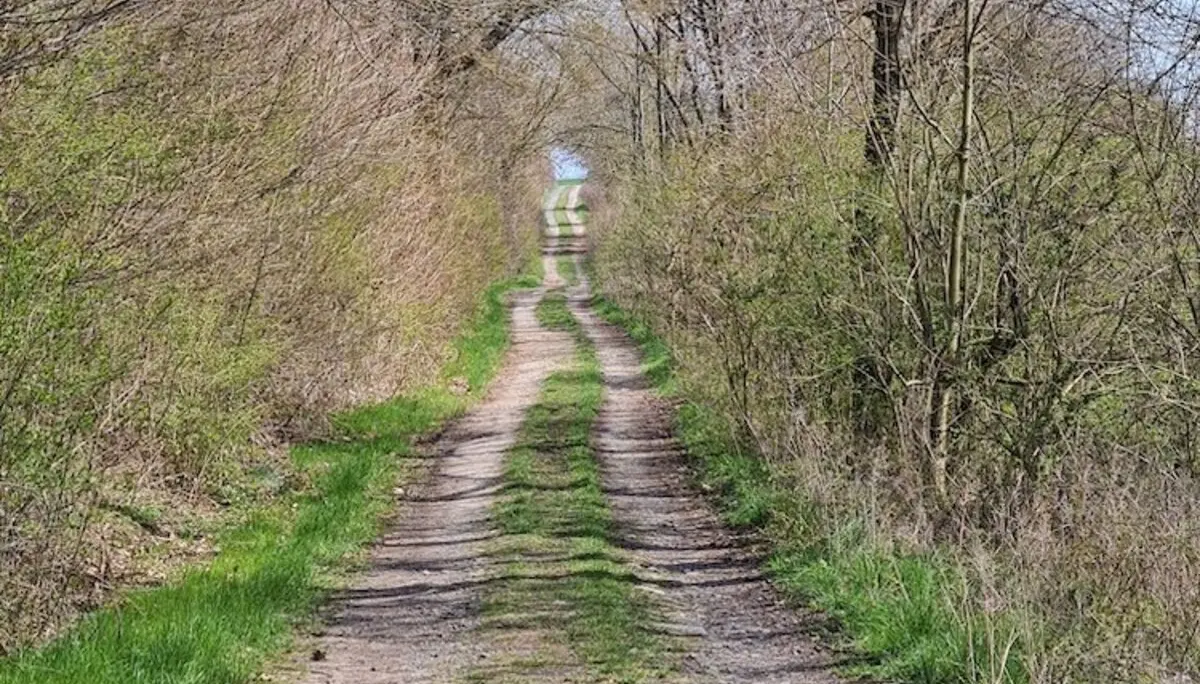 Christiane Mulle | © Christiane Mulle