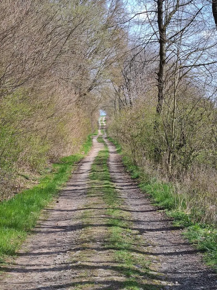 Christiane Mulle | © Christiane Mulle