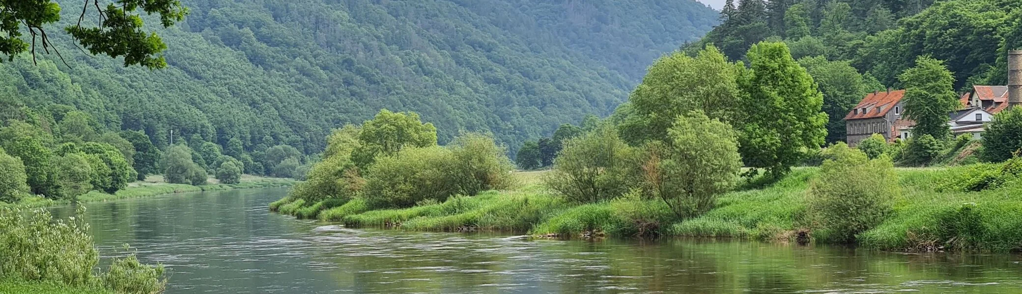 Hans Engelhardt | © Hans Engelhardt