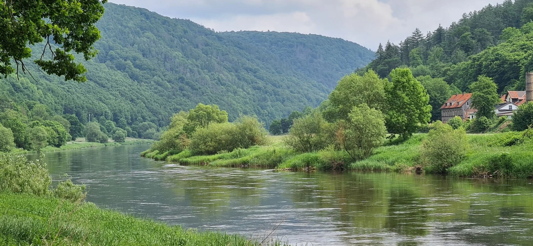 Hans Engelhardt | © Hans Engelhardt