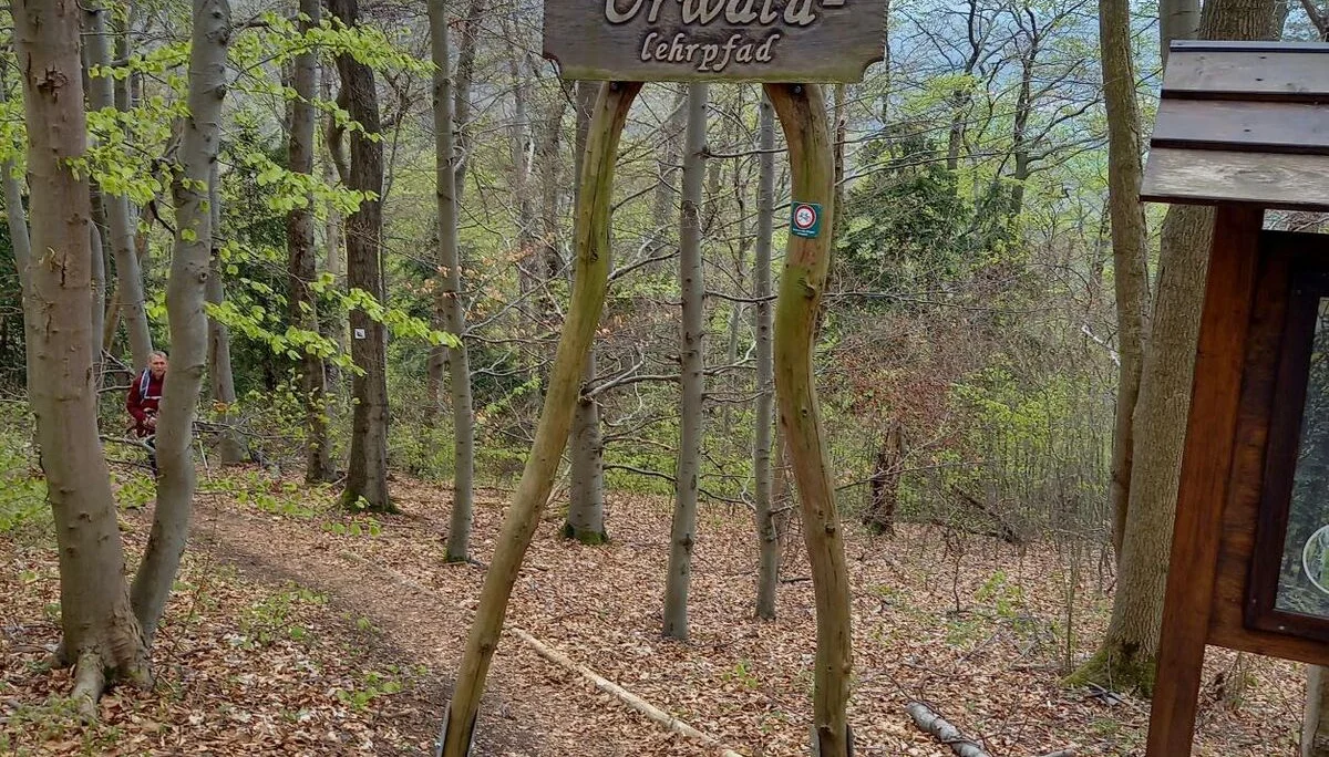 Christiane Mulle | © Christiane Mulle