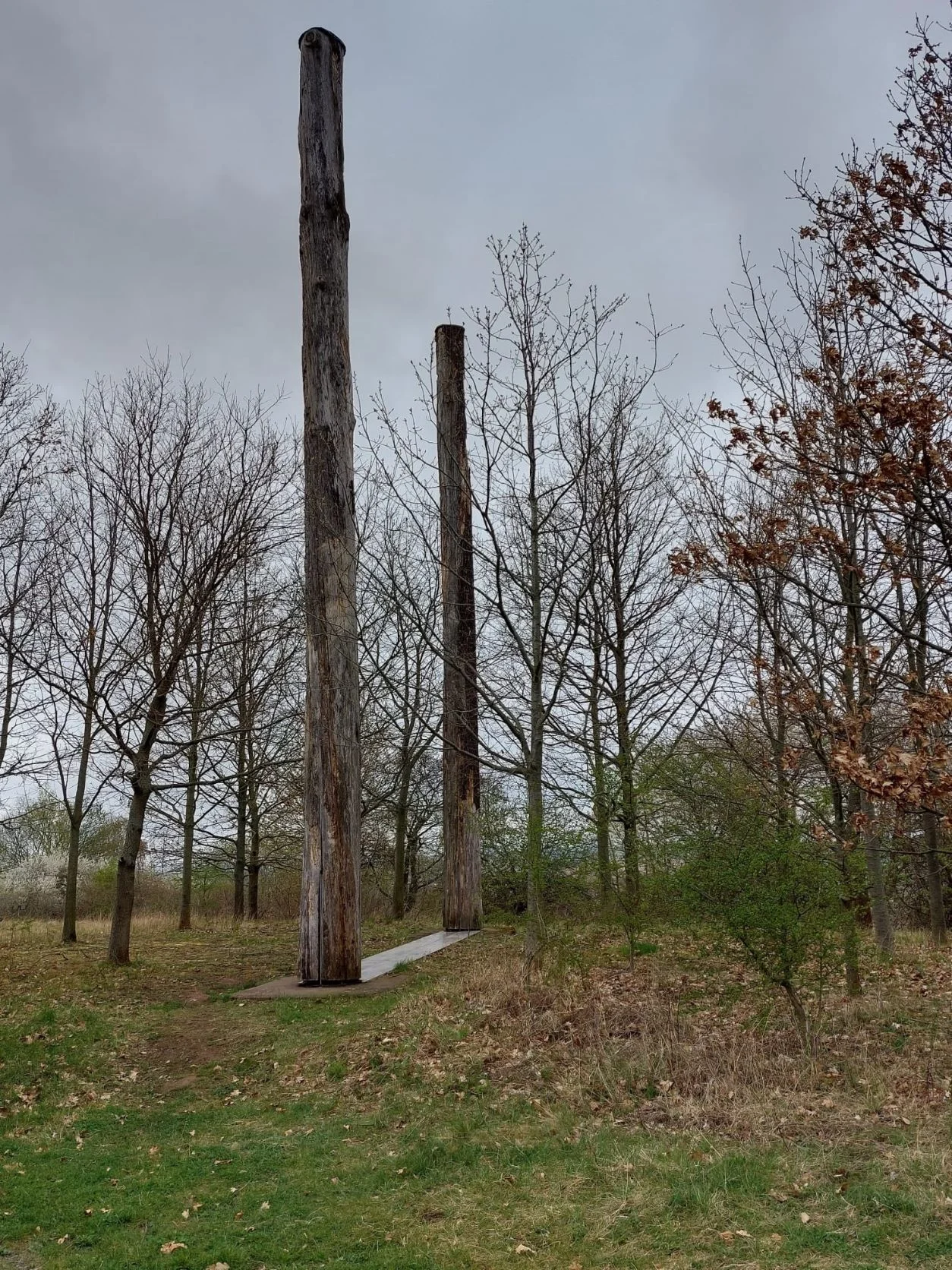 Christiane Mulle | © Christiane Mulle