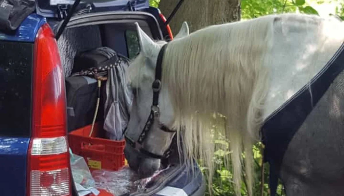 DAV Göttingen | © DAV Göttingen