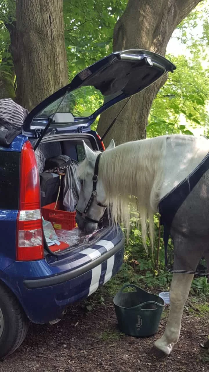 DAV Göttingen | © DAV Göttingen