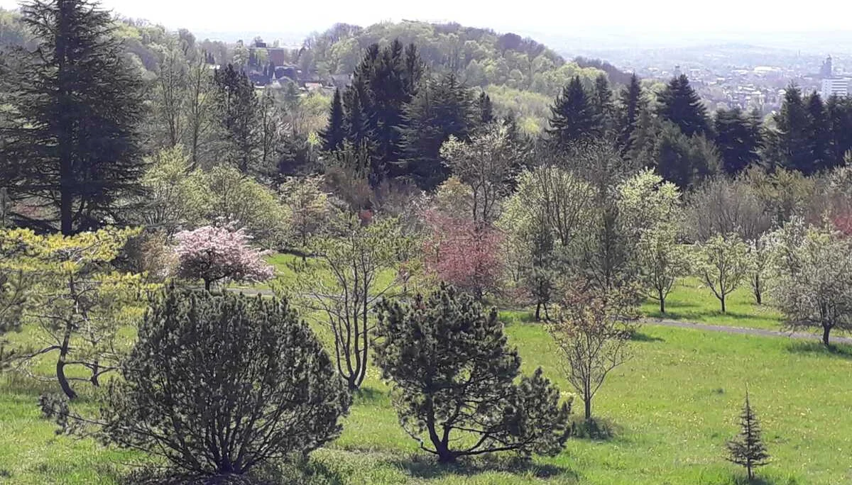 DAV Göttingen | © DAV Göttingen