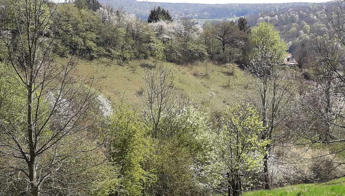 DAV Göttingen | © DAV Göttingen