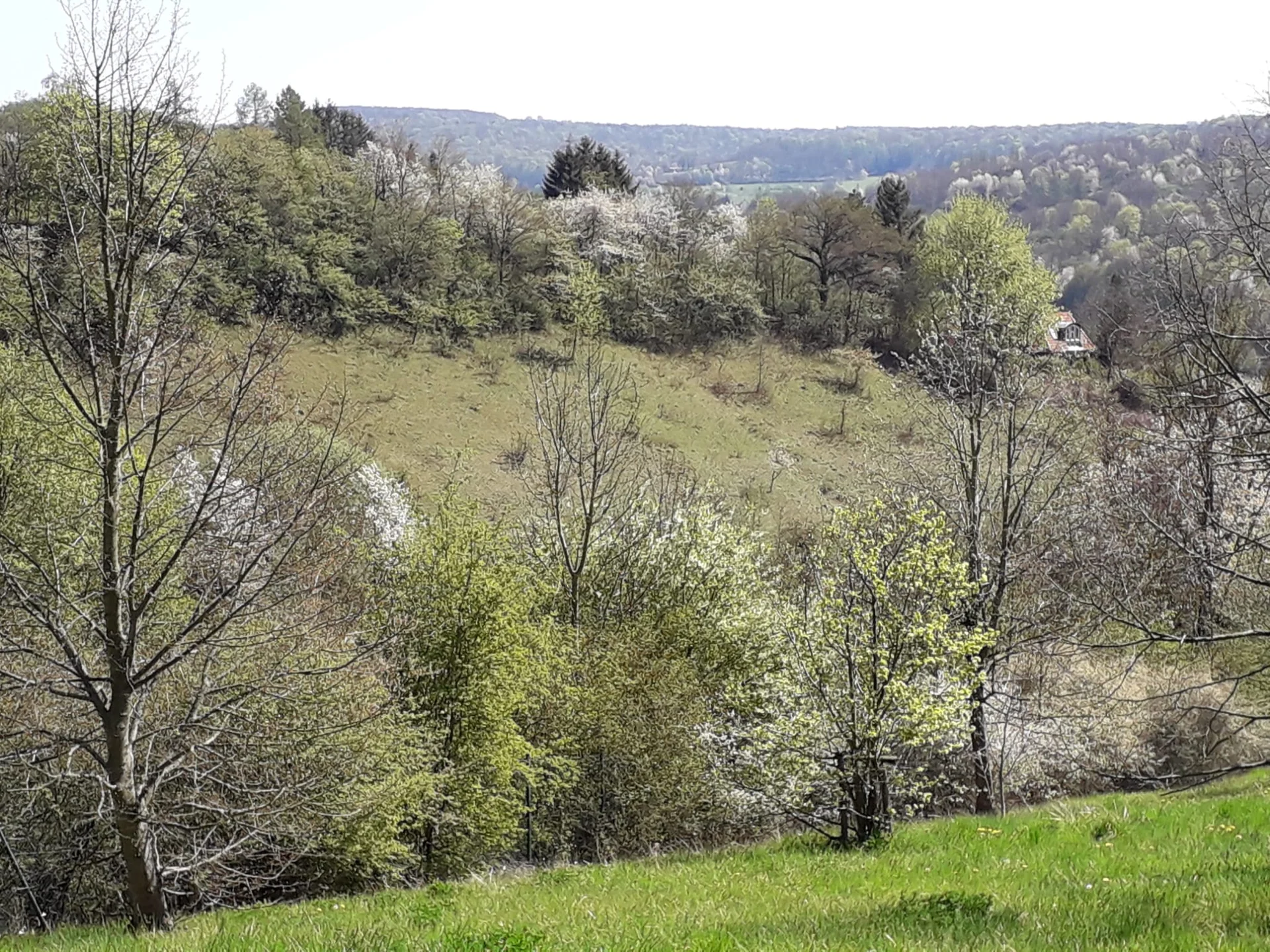 DAV Göttingen | © DAV Göttingen