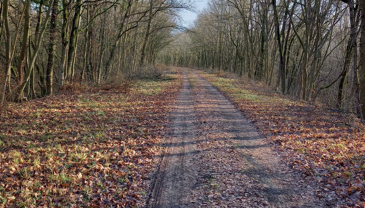 © DAV Göttingen