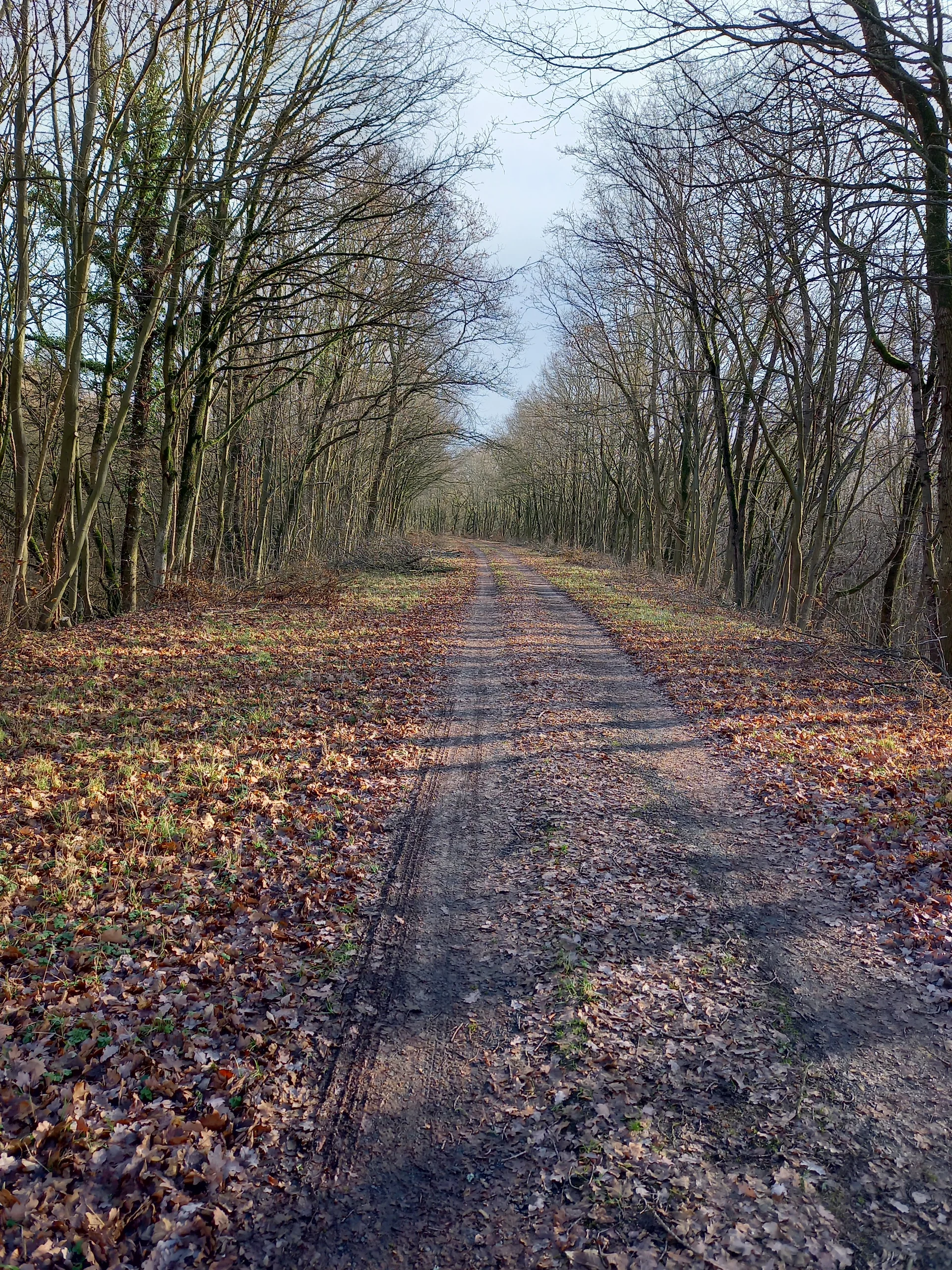 © DAV Göttingen