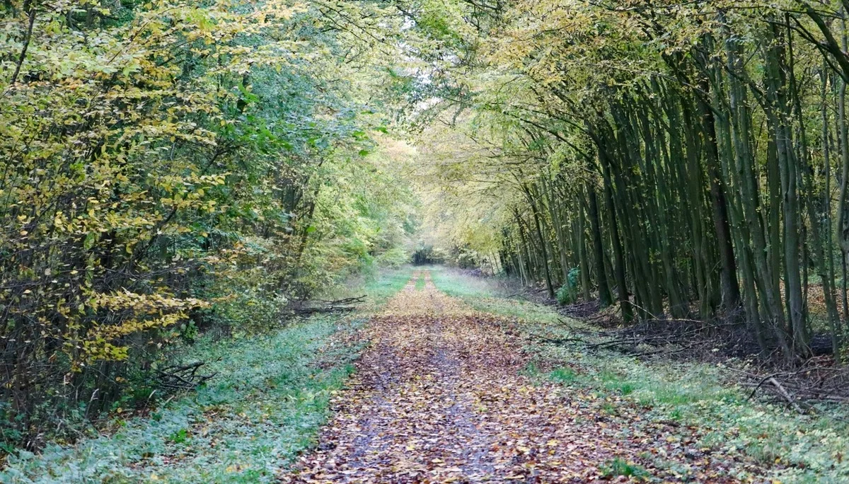 © DAV Göttingen